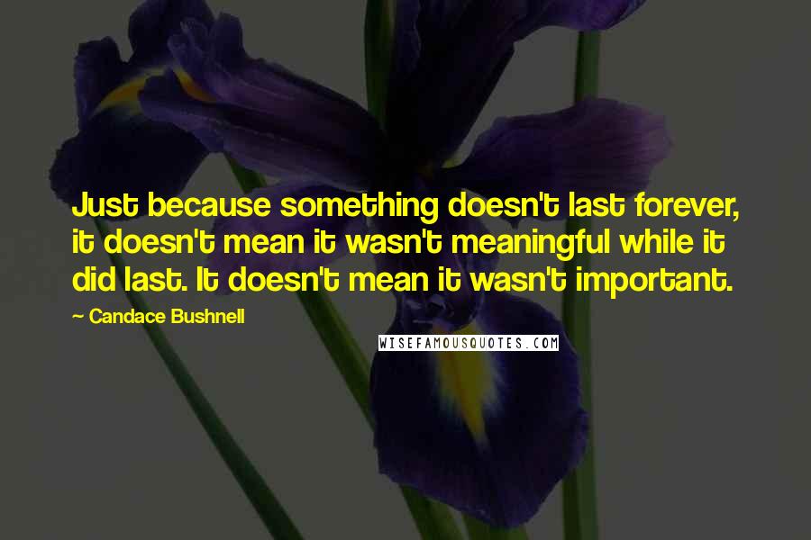 Candace Bushnell Quotes: Just because something doesn't last forever, it doesn't mean it wasn't meaningful while it did last. It doesn't mean it wasn't important.