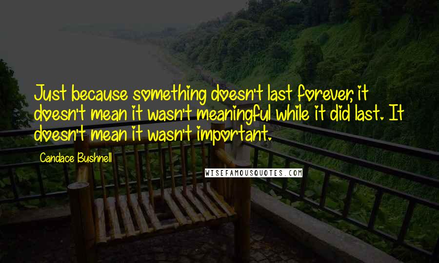 Candace Bushnell Quotes: Just because something doesn't last forever, it doesn't mean it wasn't meaningful while it did last. It doesn't mean it wasn't important.