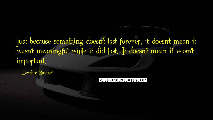 Candace Bushnell Quotes: Just because something doesn't last forever, it doesn't mean it wasn't meaningful while it did last. It doesn't mean it wasn't important.