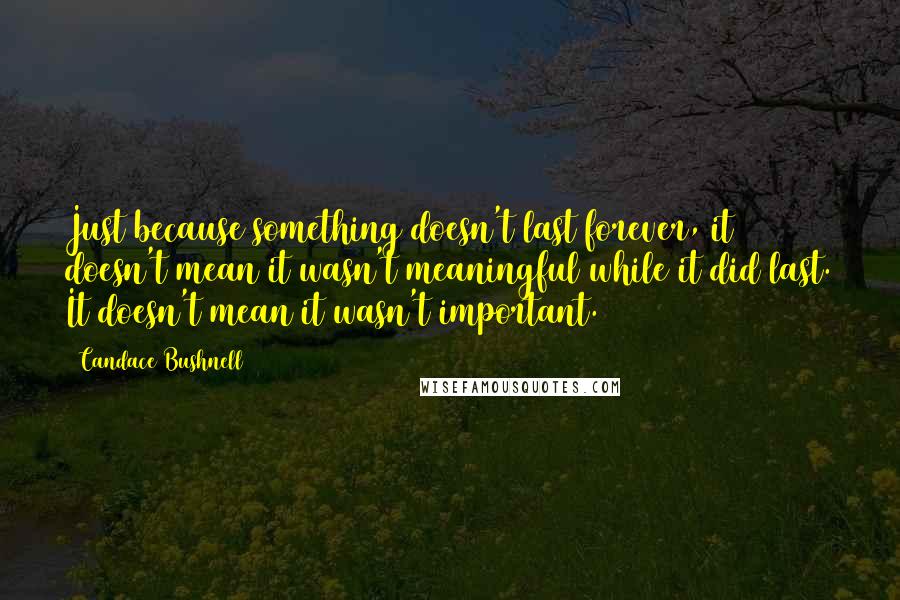 Candace Bushnell Quotes: Just because something doesn't last forever, it doesn't mean it wasn't meaningful while it did last. It doesn't mean it wasn't important.