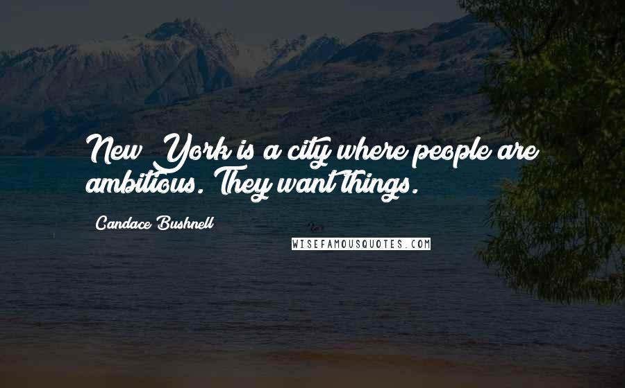 Candace Bushnell Quotes: New York is a city where people are ambitious. They want things.