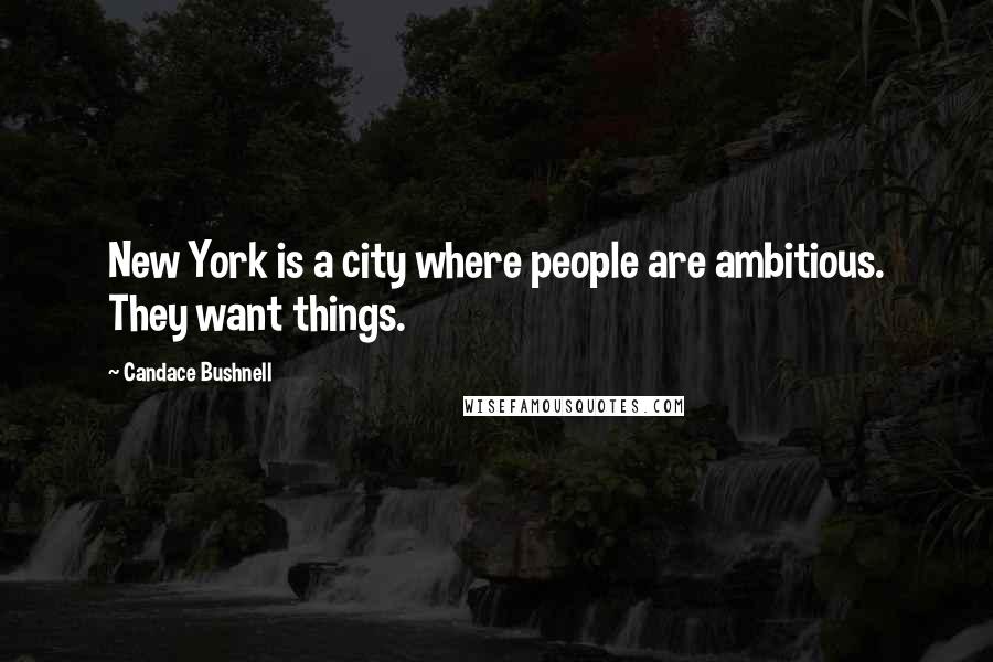 Candace Bushnell Quotes: New York is a city where people are ambitious. They want things.