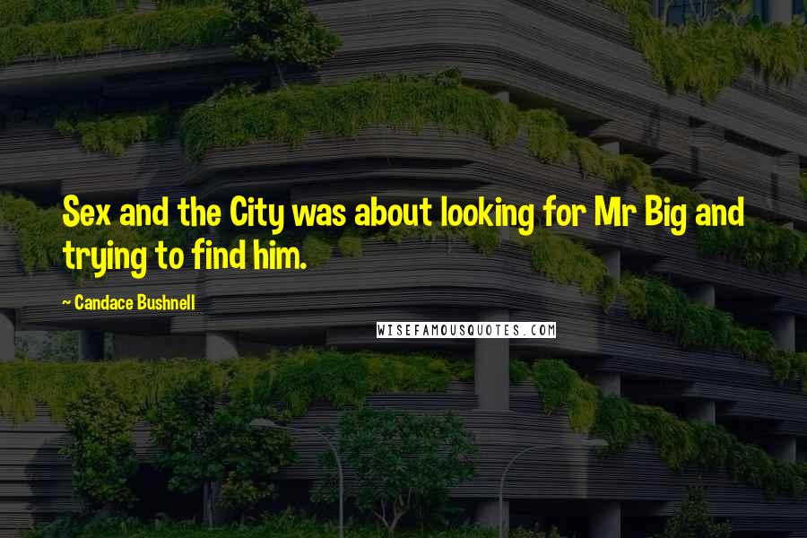 Candace Bushnell Quotes: Sex and the City was about looking for Mr Big and trying to find him.