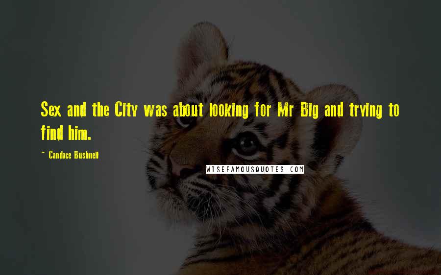 Candace Bushnell Quotes: Sex and the City was about looking for Mr Big and trying to find him.