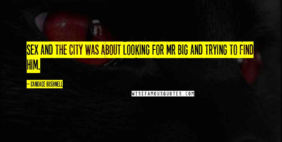 Candace Bushnell Quotes: Sex and the City was about looking for Mr Big and trying to find him.