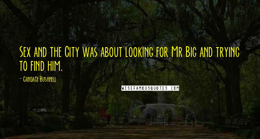 Candace Bushnell Quotes: Sex and the City was about looking for Mr Big and trying to find him.