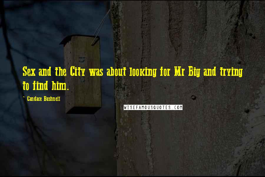 Candace Bushnell Quotes: Sex and the City was about looking for Mr Big and trying to find him.
