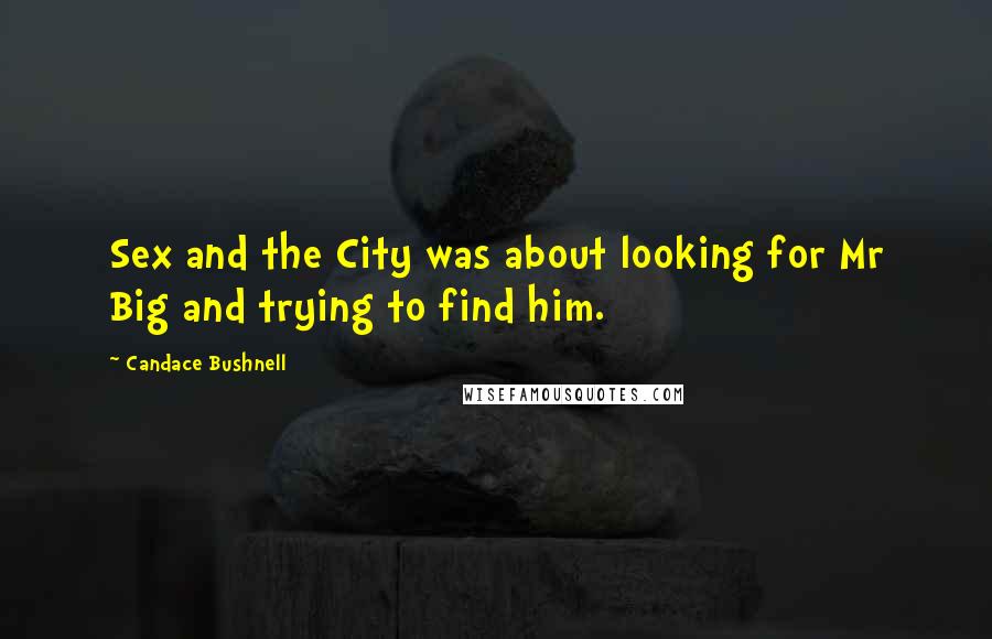 Candace Bushnell Quotes: Sex and the City was about looking for Mr Big and trying to find him.