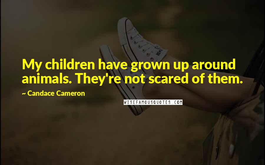 Candace Cameron Quotes: My children have grown up around animals. They're not scared of them.