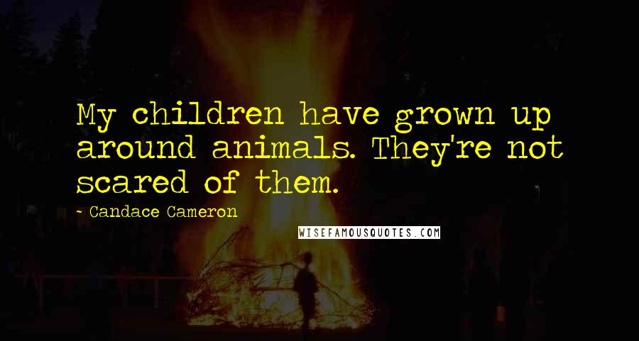 Candace Cameron Quotes: My children have grown up around animals. They're not scared of them.