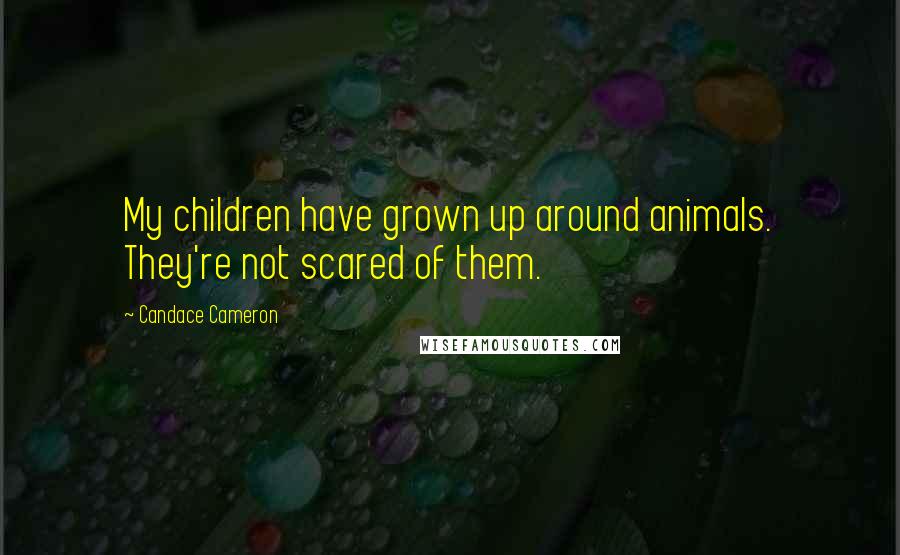 Candace Cameron Quotes: My children have grown up around animals. They're not scared of them.