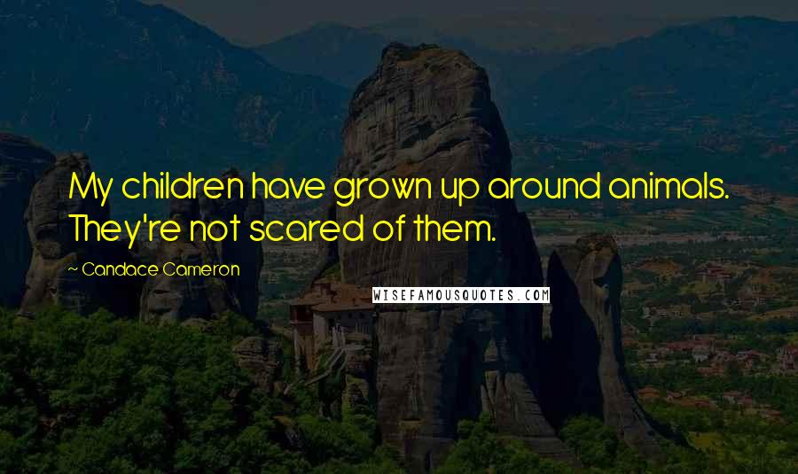 Candace Cameron Quotes: My children have grown up around animals. They're not scared of them.
