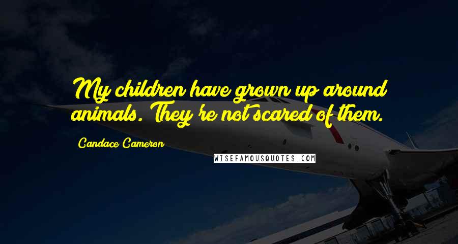 Candace Cameron Quotes: My children have grown up around animals. They're not scared of them.