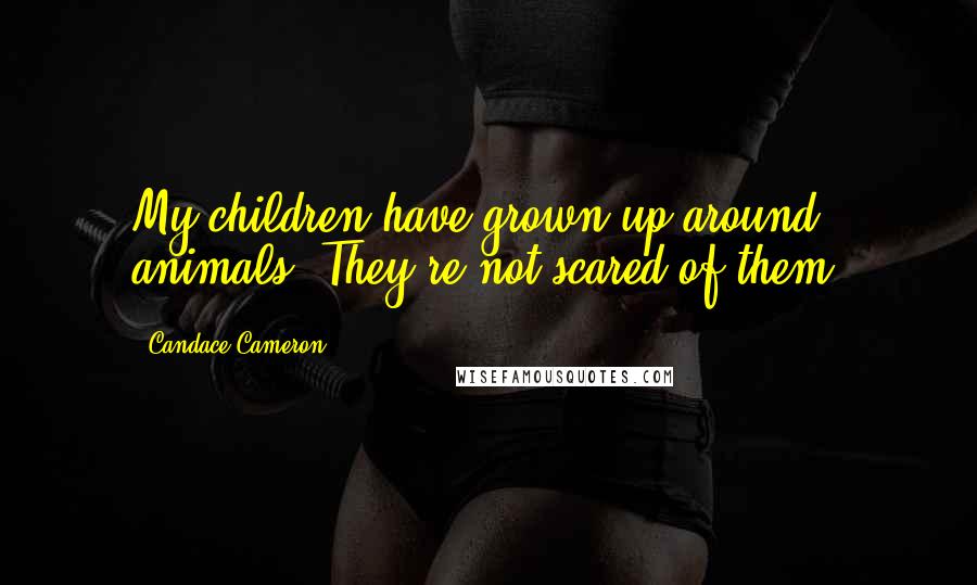 Candace Cameron Quotes: My children have grown up around animals. They're not scared of them.