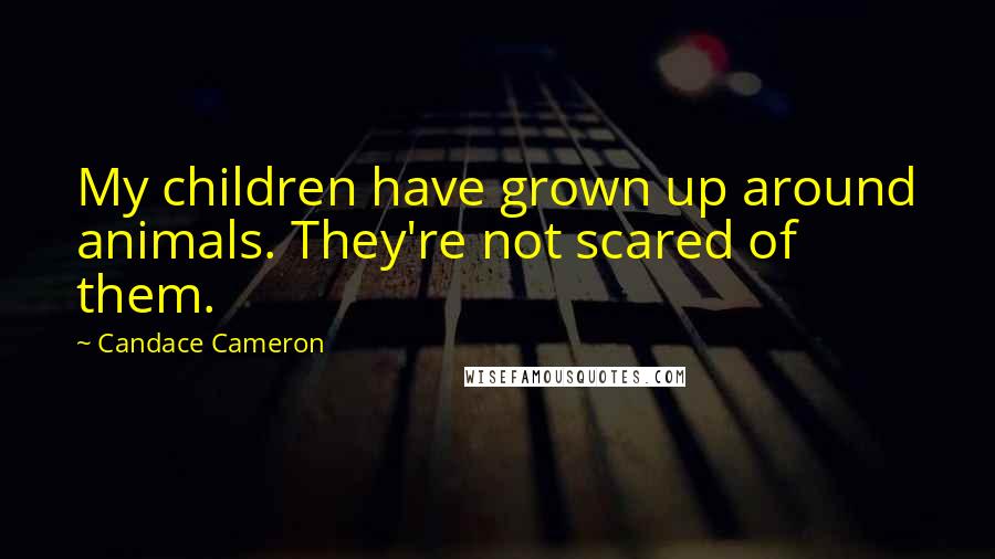 Candace Cameron Quotes: My children have grown up around animals. They're not scared of them.