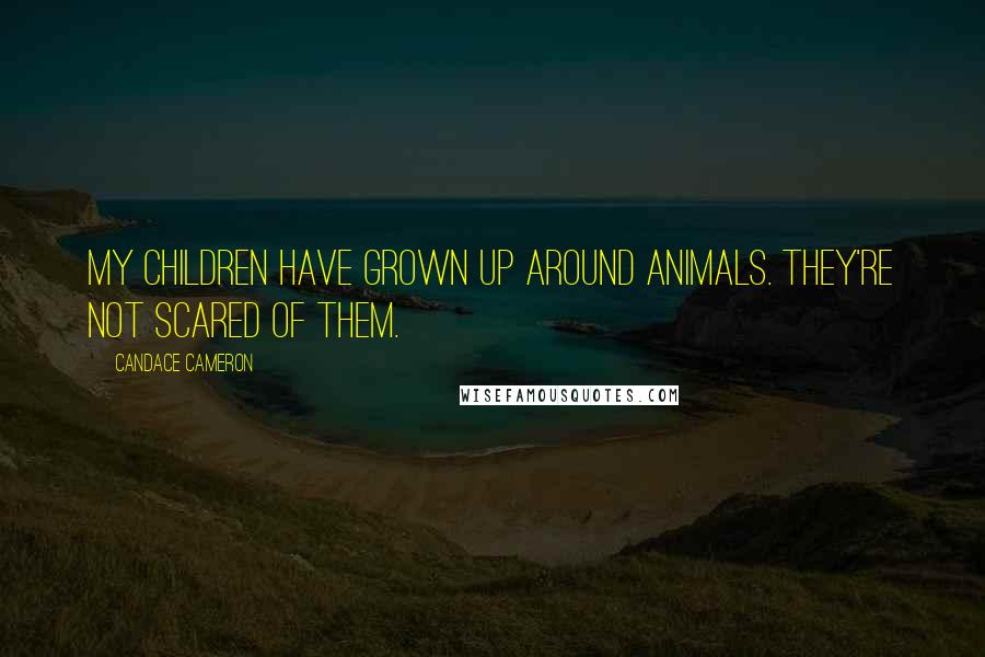 Candace Cameron Quotes: My children have grown up around animals. They're not scared of them.