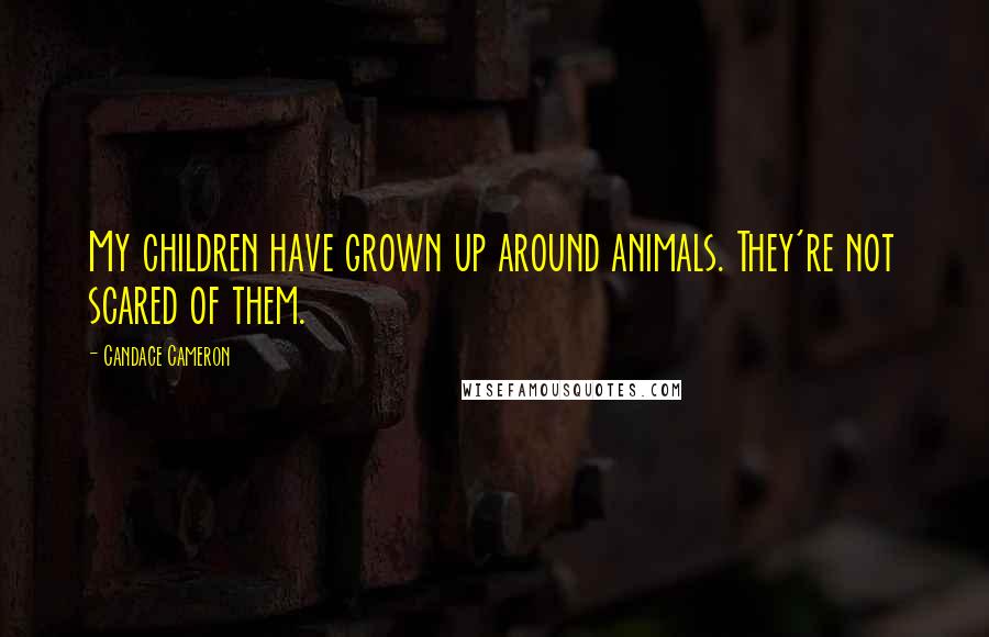 Candace Cameron Quotes: My children have grown up around animals. They're not scared of them.