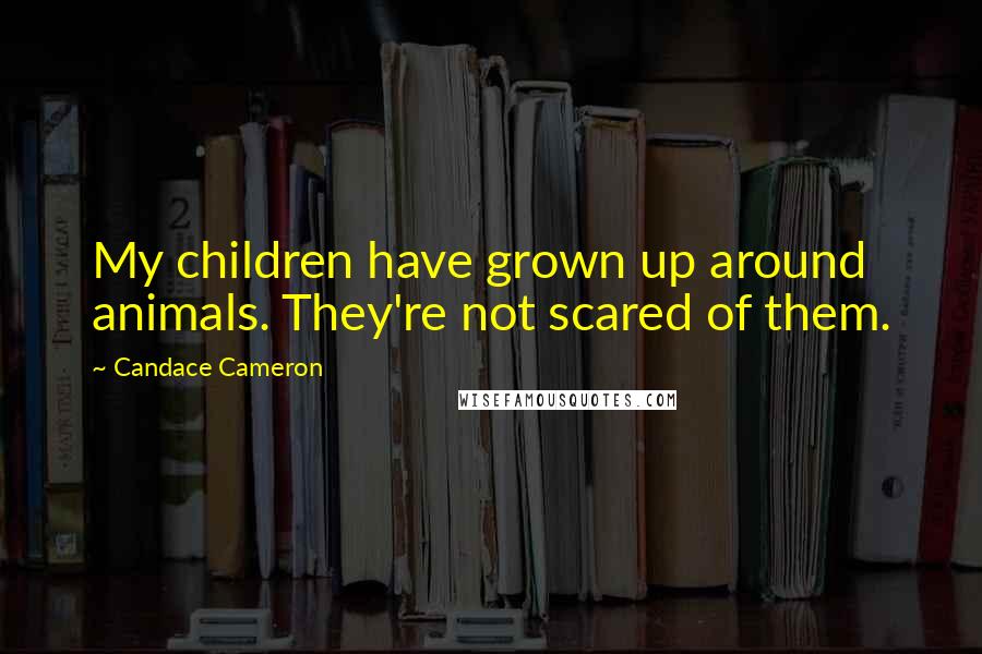 Candace Cameron Quotes: My children have grown up around animals. They're not scared of them.