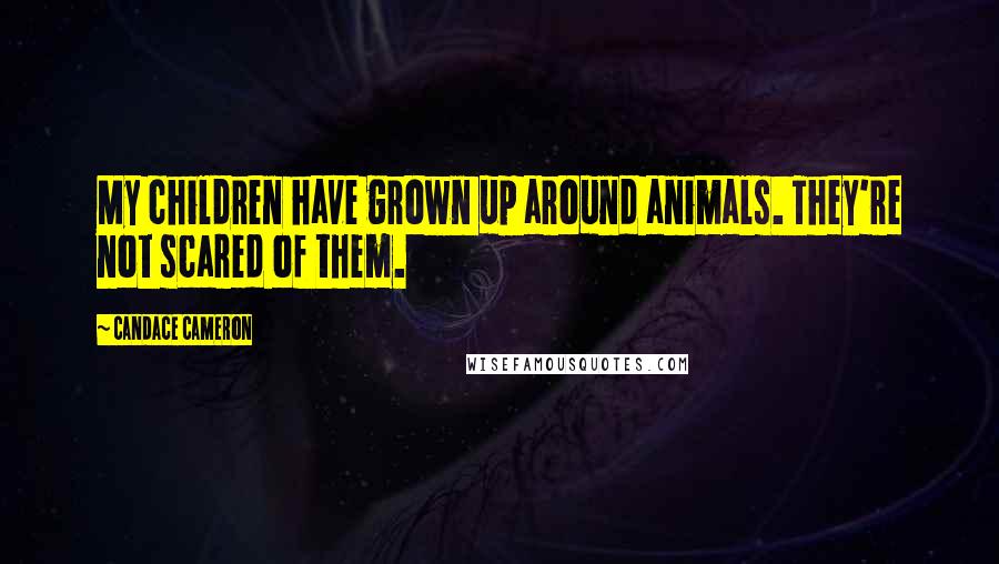 Candace Cameron Quotes: My children have grown up around animals. They're not scared of them.