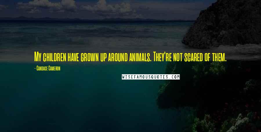 Candace Cameron Quotes: My children have grown up around animals. They're not scared of them.