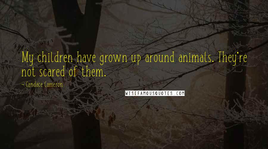 Candace Cameron Quotes: My children have grown up around animals. They're not scared of them.