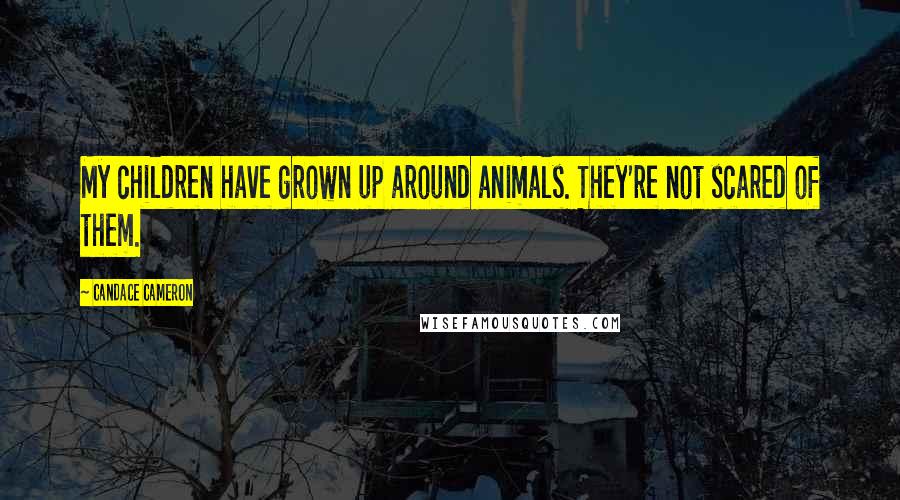 Candace Cameron Quotes: My children have grown up around animals. They're not scared of them.