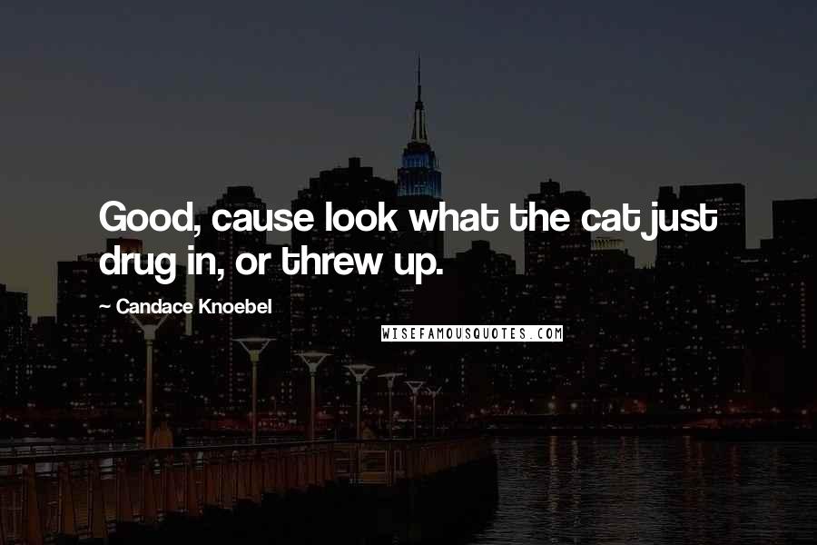 Candace Knoebel Quotes: Good, cause look what the cat just drug in, or threw up.