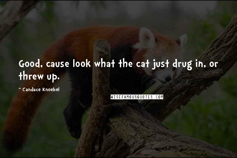 Candace Knoebel Quotes: Good, cause look what the cat just drug in, or threw up.