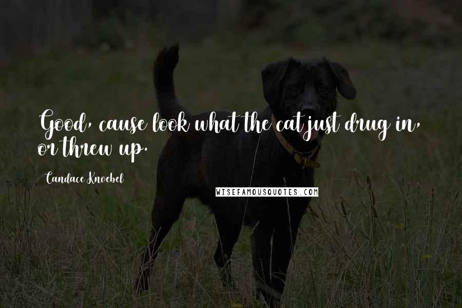 Candace Knoebel Quotes: Good, cause look what the cat just drug in, or threw up.