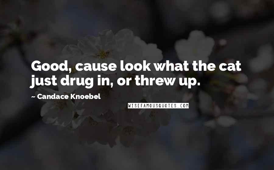 Candace Knoebel Quotes: Good, cause look what the cat just drug in, or threw up.