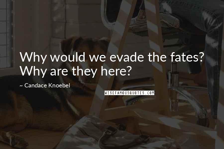 Candace Knoebel Quotes: Why would we evade the fates? Why are they here?