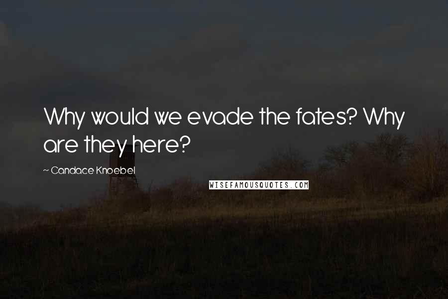 Candace Knoebel Quotes: Why would we evade the fates? Why are they here?