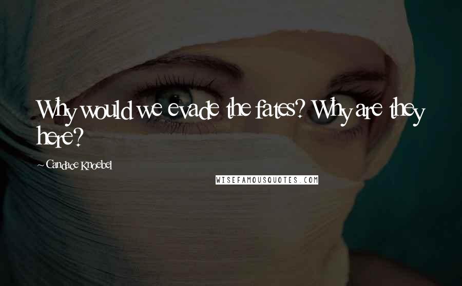 Candace Knoebel Quotes: Why would we evade the fates? Why are they here?