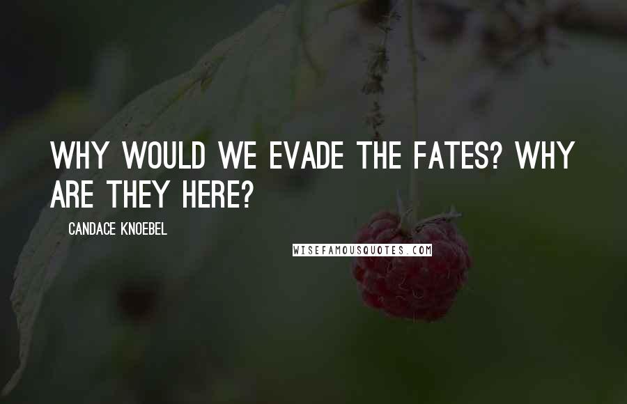 Candace Knoebel Quotes: Why would we evade the fates? Why are they here?