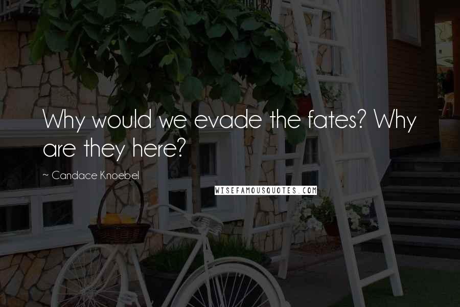 Candace Knoebel Quotes: Why would we evade the fates? Why are they here?