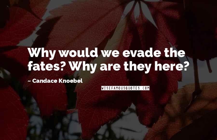 Candace Knoebel Quotes: Why would we evade the fates? Why are they here?