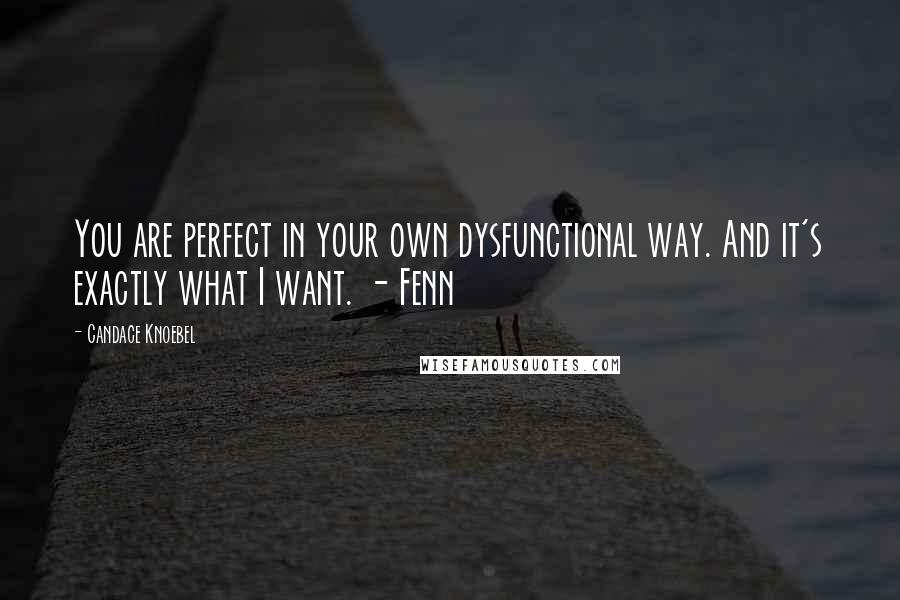 Candace Knoebel Quotes: You are perfect in your own dysfunctional way. And it's exactly what I want. - Fenn