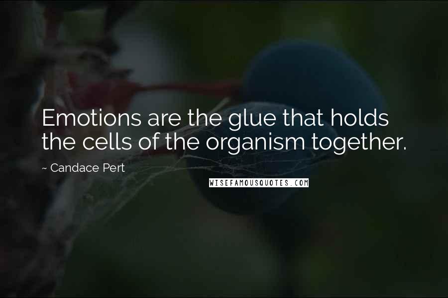 Candace Pert Quotes: Emotions are the glue that holds the cells of the organism together.