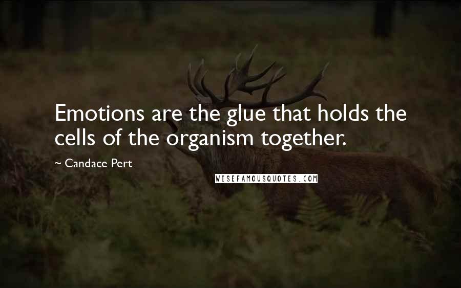 Candace Pert Quotes: Emotions are the glue that holds the cells of the organism together.