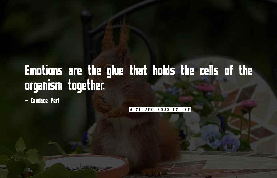 Candace Pert Quotes: Emotions are the glue that holds the cells of the organism together.