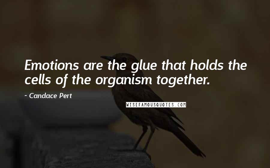 Candace Pert Quotes: Emotions are the glue that holds the cells of the organism together.