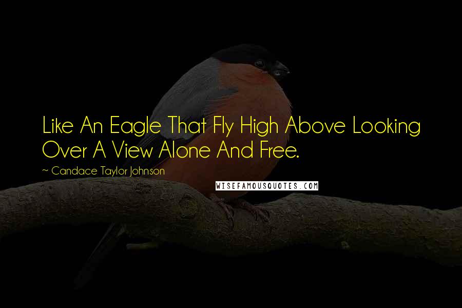 Candace Taylor Johnson Quotes: Like An Eagle That Fly High Above Looking Over A View Alone And Free.