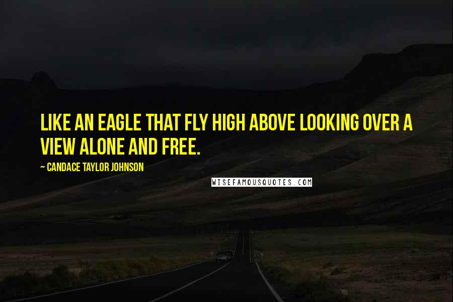 Candace Taylor Johnson Quotes: Like An Eagle That Fly High Above Looking Over A View Alone And Free.