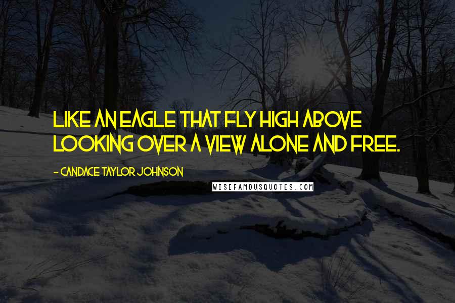 Candace Taylor Johnson Quotes: Like An Eagle That Fly High Above Looking Over A View Alone And Free.