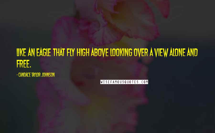 Candace Taylor Johnson Quotes: Like An Eagle That Fly High Above Looking Over A View Alone And Free.