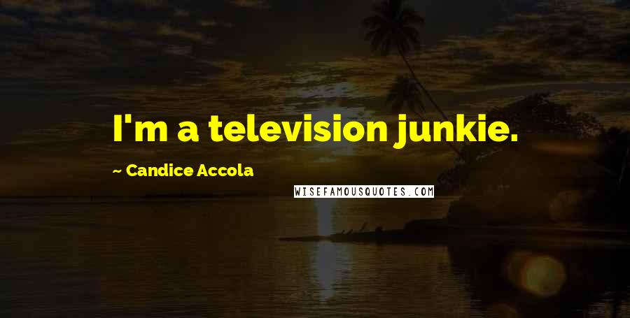 Candice Accola Quotes: I'm a television junkie.