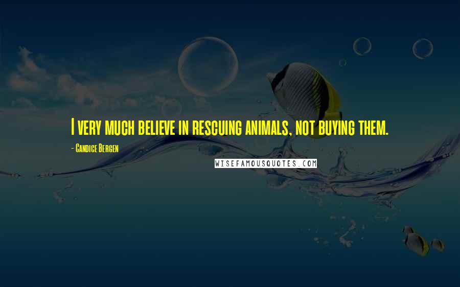 Candice Bergen Quotes: I very much believe in rescuing animals, not buying them.