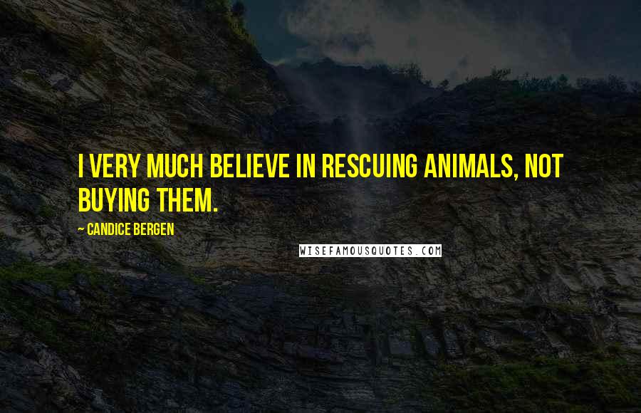 Candice Bergen Quotes: I very much believe in rescuing animals, not buying them.