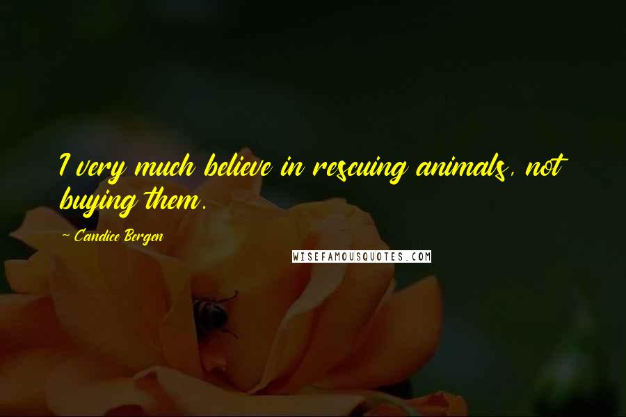 Candice Bergen Quotes: I very much believe in rescuing animals, not buying them.