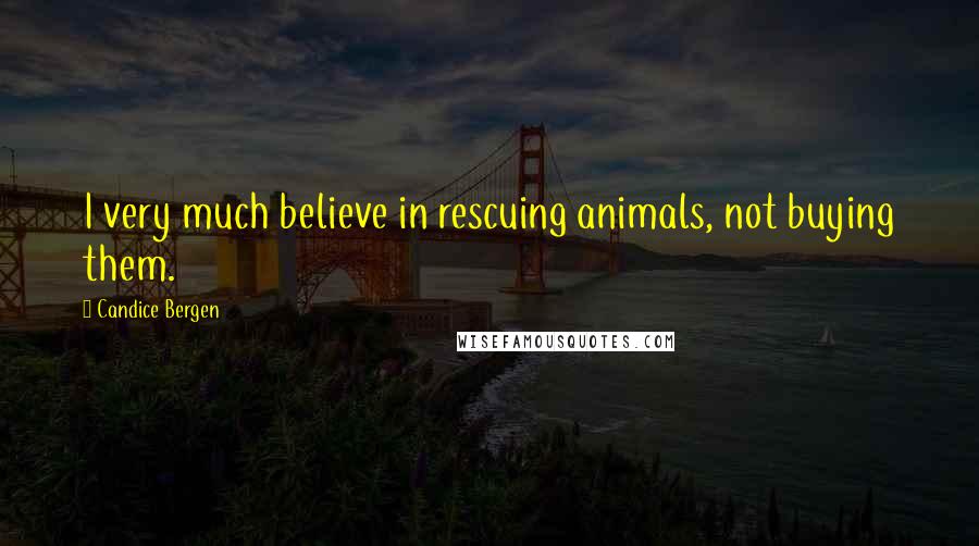 Candice Bergen Quotes: I very much believe in rescuing animals, not buying them.